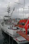 Feuerlöschboot zu verkaufen