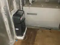 Fährschiff zu verkaufen