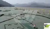 Barges zu verkaufen