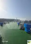 Landungsboot, Tank zu verkaufen
