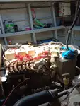 Crew-Boot zu verkaufen