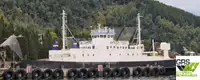 Ro-Ro-Schiff zu verkaufen