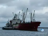 Kühlschiff zu verkaufen