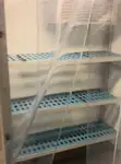 Kreuzfahrtfähre zu verkaufen