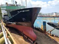 Ro-Ro-Schiff zu verkaufen