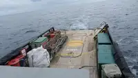 Patrouillenboot zu verkaufen
