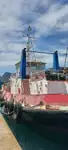 Schleppboot zu verkaufen