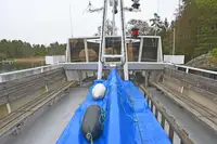 Kreuzfahrtschiff zu verkaufen