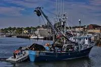 Purse-Seiner zu verkaufen