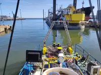 Schleppboot zu verkaufen