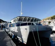Schleppboot zu verkaufen