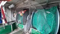 Lebendfischtransporter zu verkaufen