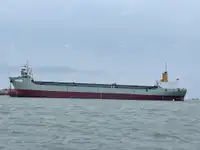 Containerschiff zu verkaufen