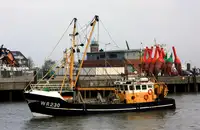 Trawler zu verkaufen