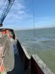 Bagger zu verkaufen