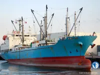 Kühlschiff zu verkaufen