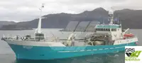 Trawler zu verkaufen