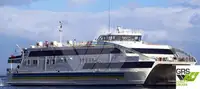 Ro-Ro-Schiff zu verkaufen