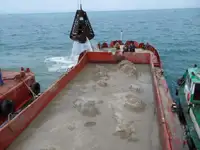 Barges zu verkaufen