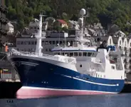 Purse seiner zu verkaufen