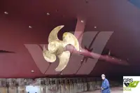 Kreuzfahrtschiff zu verkaufen