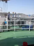Bagger zu verkaufen