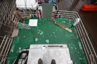 Fährschiff zu verkaufen