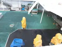 Trawler zu verkaufen
