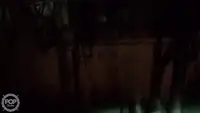 Trawler zu verkaufen