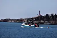 Purse-Seiner zu verkaufen
