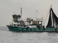 Purse-Seiner zu verkaufen