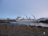 Kühlschiff zu verkaufen