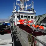 Purse-Seiner zu verkaufen