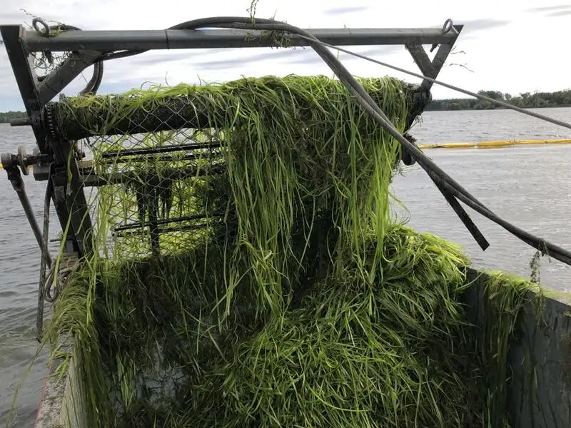Bilgenwassertanker zu verkaufen