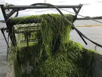 Bilgenwassertanker zu verkaufen