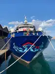 Kreuzfahrtschiff zu verkaufen