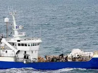 Trawler zu verkaufen