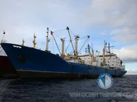 Kühlschiff zu verkaufen