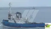 Schleppboot zu verkaufen
