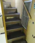 Lotsenboot zu verkaufen