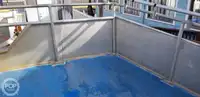 Katamaran zu verkaufen