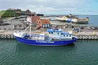 Trawler zu verkaufen