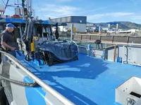 Fährschiff zu verkaufen