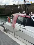 Lotsenboot zu verkaufen