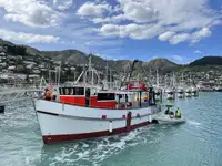 Trawler zu verkaufen
