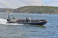 Festrumpf-Schlauchboot zu verkaufen