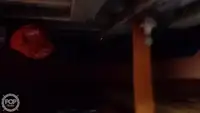 Trawler zu verkaufen
