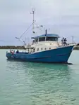 Trawler zu verkaufen