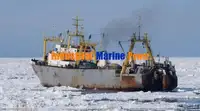 Kühlschiff zu verkaufen