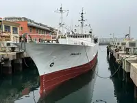 Trawler zu verkaufen